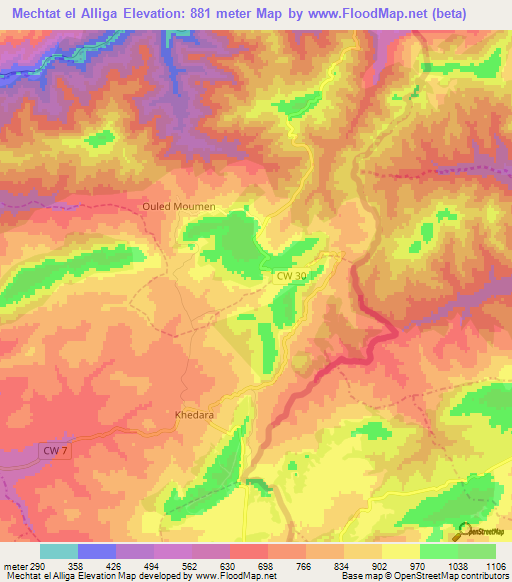 Mechtat el Alliga,Algeria Elevation Map