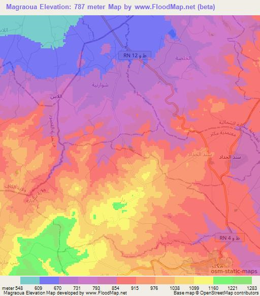 Magraoua,Tunisia Elevation Map