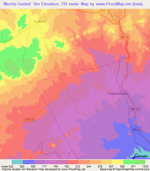 Mechta Guebel `Ain,Algeria Elevation Map