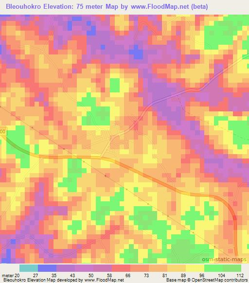 Bleouhokro,Ivory Coast Elevation Map
