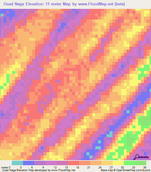 Ouad Naga,Mauritania Elevation Map