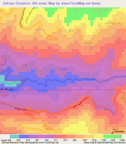 Zahriye,Lebanon Elevation Map