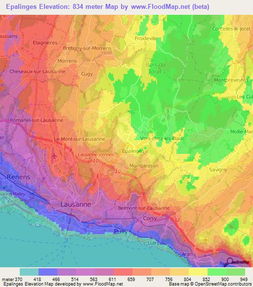 Epalinges,Switzerland Elevation Map