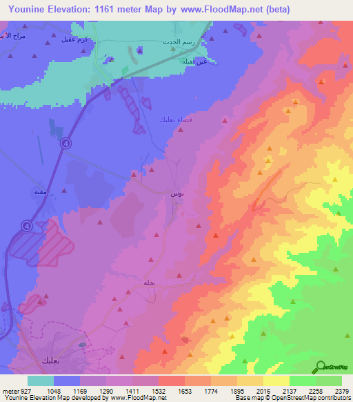 Younine,Lebanon Elevation Map