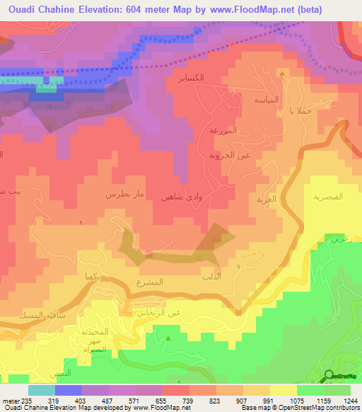 Ouadi Chahine,Lebanon Elevation Map