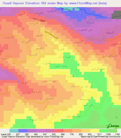 Ouadi Hayoun,Lebanon Elevation Map