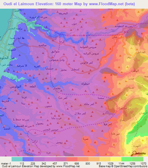 Oudi el Laimoun,Lebanon Elevation Map