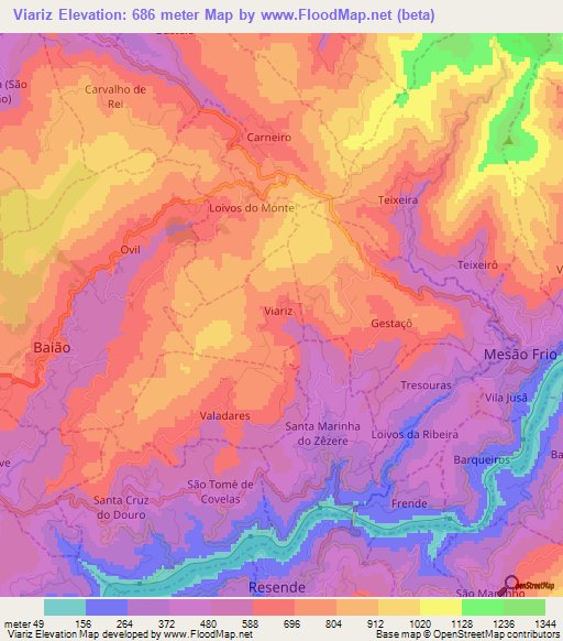 Viariz,Portugal Elevation Map