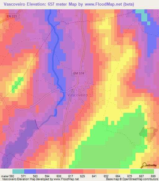 Vascoveiro,Portugal Elevation Map