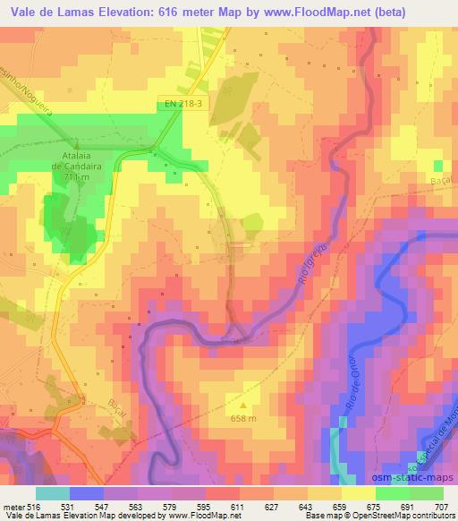 Vale de Lamas,Portugal Elevation Map