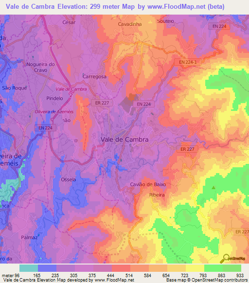 Vale de Cambra,Portugal Elevation Map