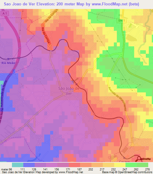 Sao Joao de Ver,Portugal Elevation Map