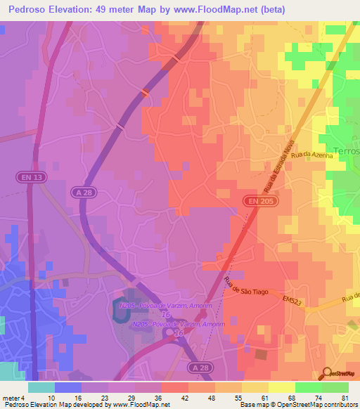 Pedroso,Portugal Elevation Map