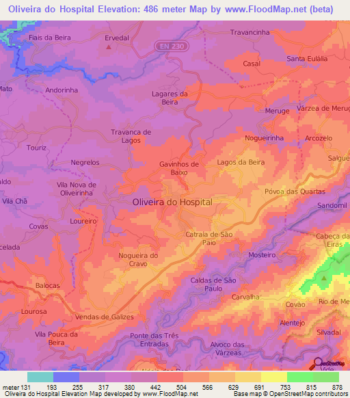 Oliveira do Hospital,Portugal Elevation Map