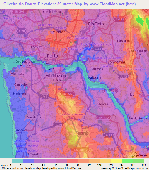 Oliveira do Douro,Portugal Elevation Map