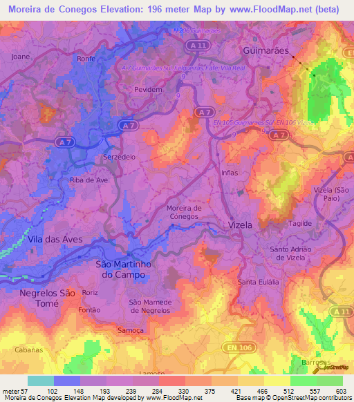 Moreira de Conegos,Portugal Elevation Map