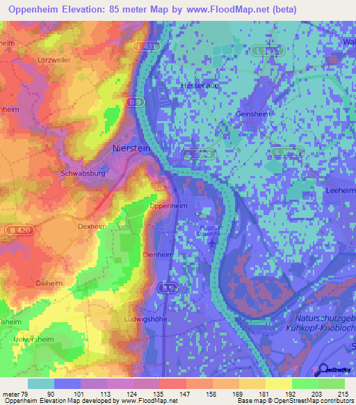 Oppenheim,Germany Elevation Map
