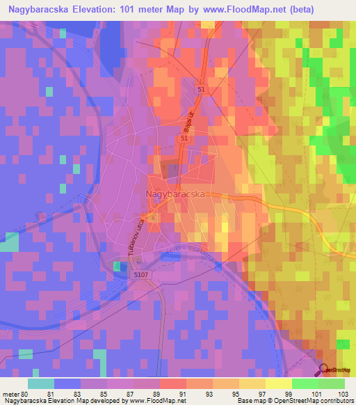 Nagybaracska,Hungary Elevation Map