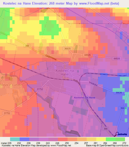 Kostelec na Hane,Czech Republic Elevation Map