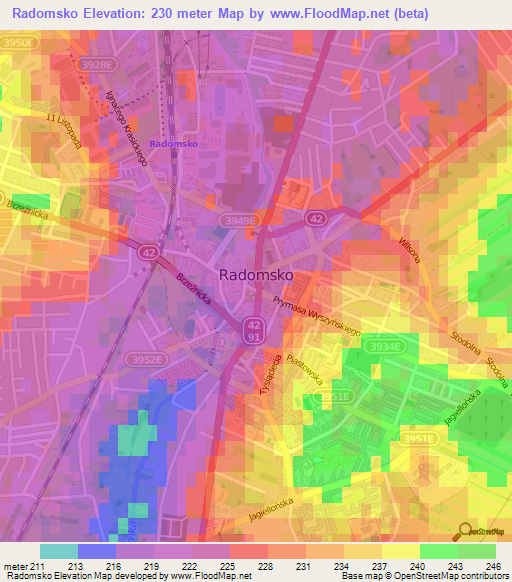Radomsko,Poland Elevation Map