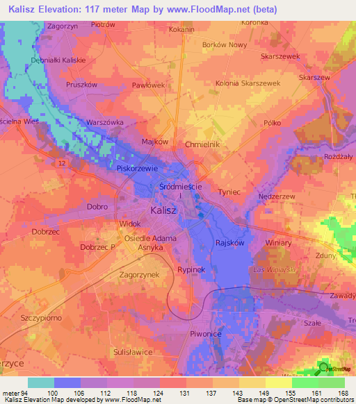 Kalisz,Poland Elevation Map