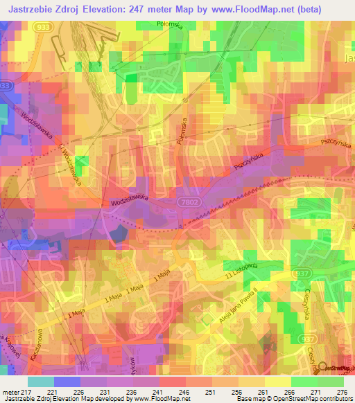 Jastrzebie Zdroj,Poland Elevation Map