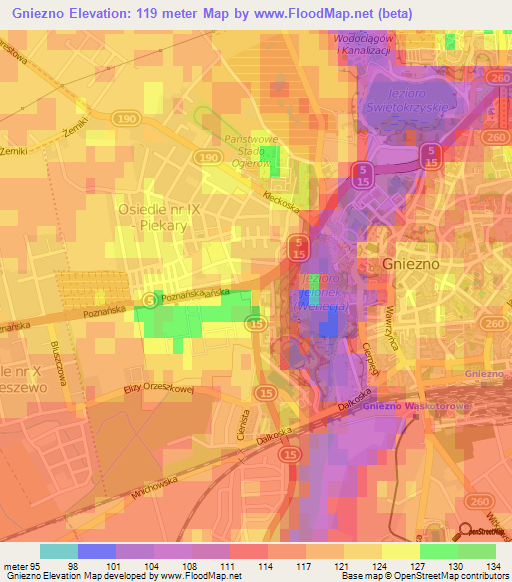 Gniezno,Poland Elevation Map