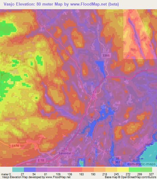 Vasjo,Norway Elevation Map