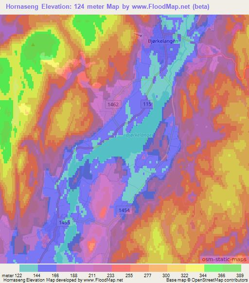 Hornaseng,Norway Elevation Map