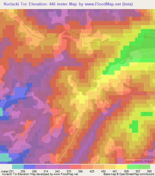 Kuriacki Tor,Bosnia and Herzegovina Elevation Map