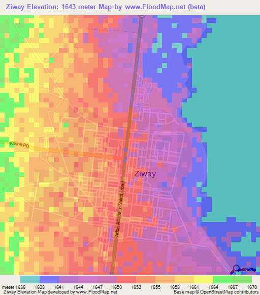 Ziway,Ethiopia Elevation Map