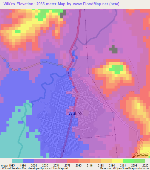 Wik'ro,Ethiopia Elevation Map
