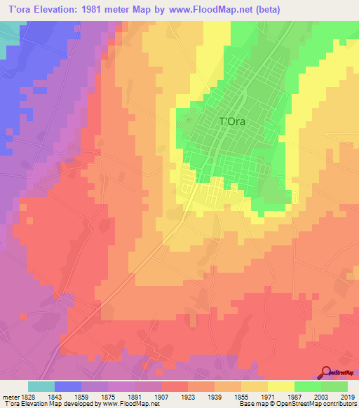 T'ora,Ethiopia Elevation Map