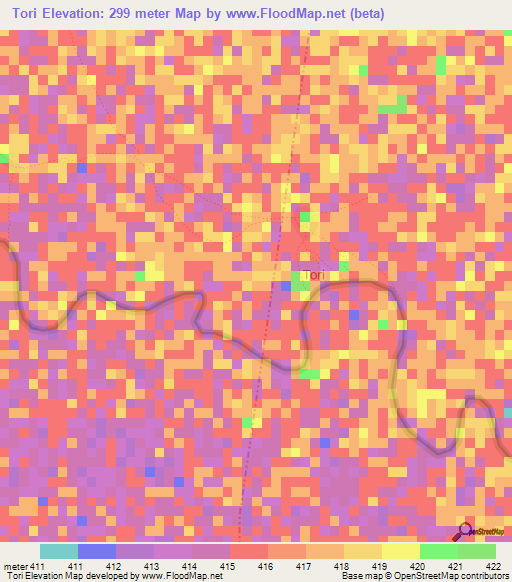 Tori,Ethiopia Elevation Map