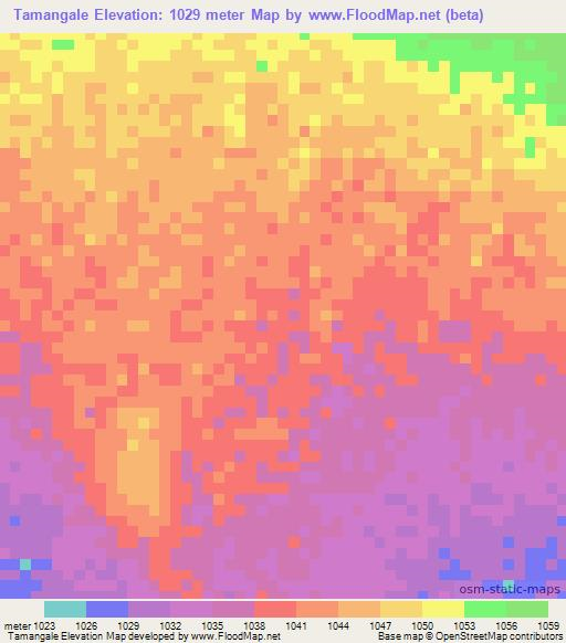 Tamangale,Ethiopia Elevation Map