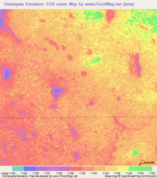 Oshanyata,Namibia Elevation Map