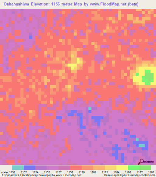 Oshanashiwa,Namibia Elevation Map