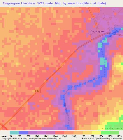 Ongongora,Namibia Elevation Map
