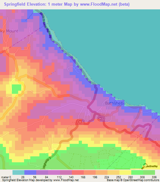 Springfield,Barbados Elevation Map