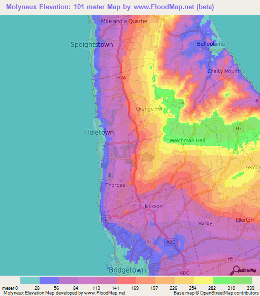 Molyneux,Barbados Elevation Map