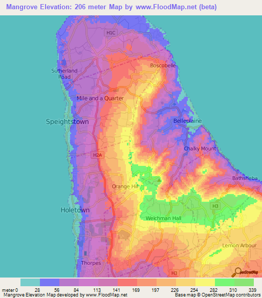 Mangrove,Barbados Elevation Map
