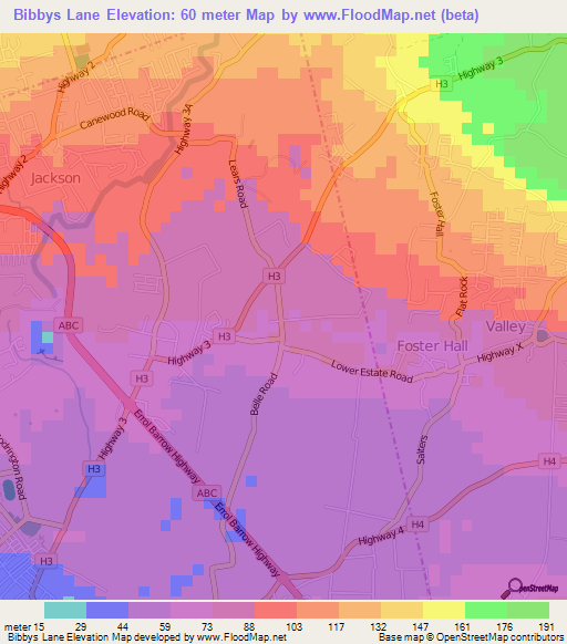 Bibbys Lane,Barbados Elevation Map