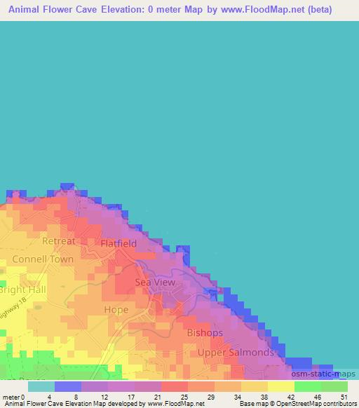 Animal Flower Cave,Barbados Elevation Map