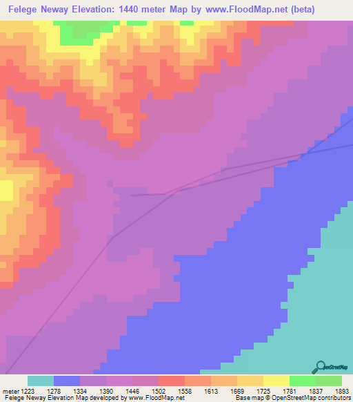 Felege Neway,Ethiopia Elevation Map