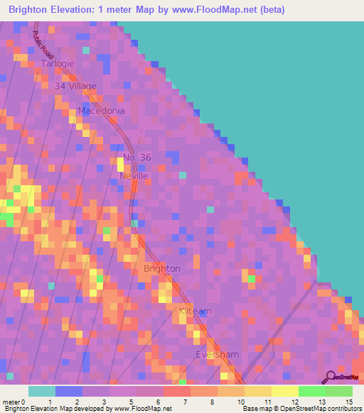 Brighton,Guyana Elevation Map