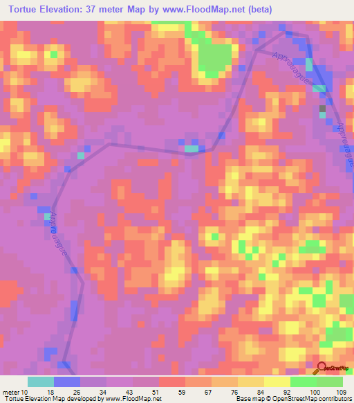 Tortue,French Guiana Elevation Map