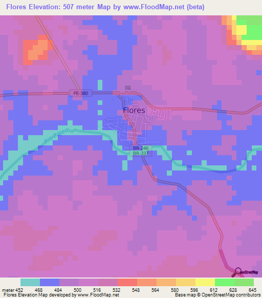 Flores,Brazil Elevation Map