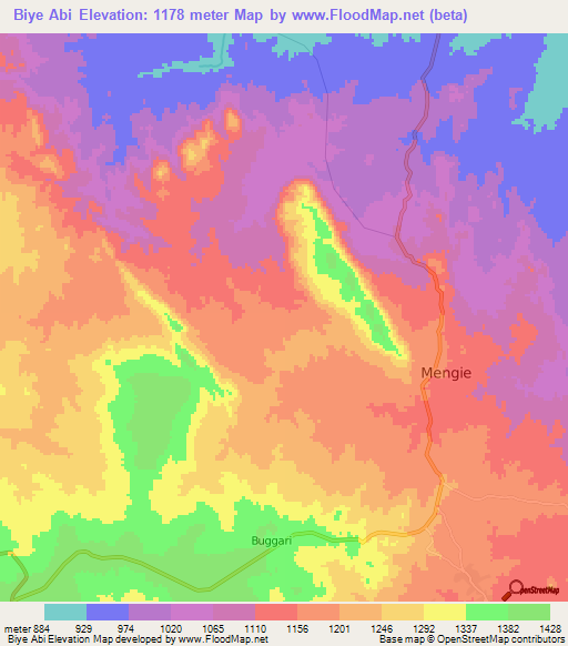 Biye Abi,Ethiopia Elevation Map