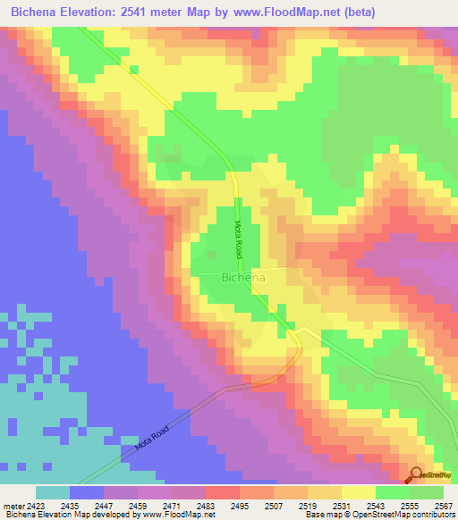 Bichena,Ethiopia Elevation Map