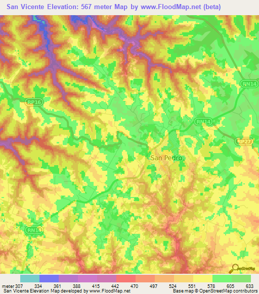 San Vicente,Argentina Elevation Map